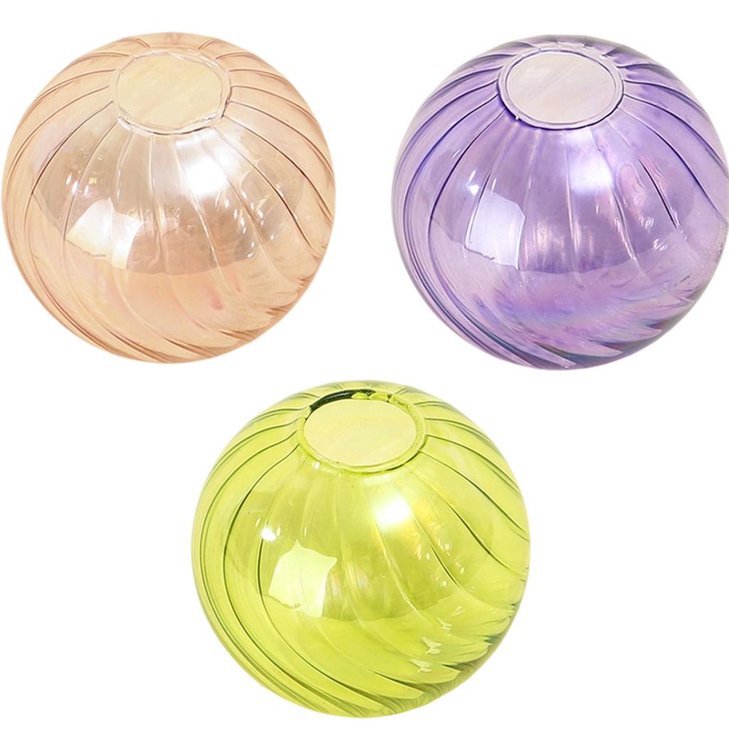 Multipurpose Clear Glass Ball Vases Small Hydroponic Pot Planter for Unique Terrariums Jar and Propagation Stations Display