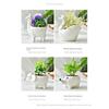Creative Cartoon Alpaca Swan Ceramic Flowerpot Nordic Plant Pot Succulent Flowerpot Animal Shaped Pots Home Decoration Ornaments