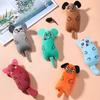 Plush Chew Cat Catnip Toy Interactive Pet Accessories for Cats Sphynx Katten mascotas Products juguete gato zabawki dla kota
