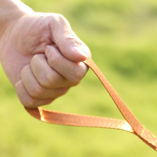 Pet Toy Three-Speed Adjustment Foldable Design Cat Automatic Teasing Device Indoor Cat Entertainment Toy