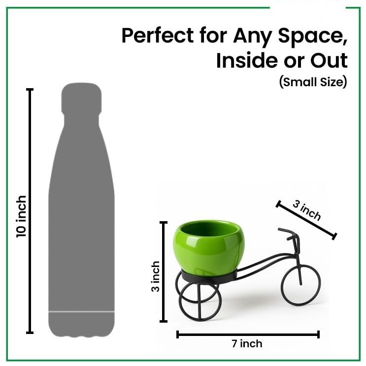 Cykelformat växtställ i metall för inomhus- och utomhusbruk, cykelvas i metall, dekorativ grytunderlägg i järn för blommor och ornament