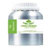 Argan 100% Argania Spinosa Pure & Natural Carrier Oil