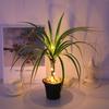 Artificial Plant With Led Lights Fake Plant Potted Tree Indoor Lighting For Living Room Hotel Villa Art Decor Bedroom Home Decor