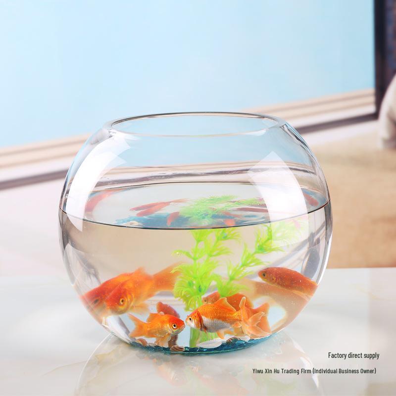 Großer Klarglas-Fisch- und Schildkrötenbehälter - Kreatives Hydroponik-Feng-Shui für Schreibtisch oder Wohnzimmer