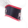 Aisile Adult Erotic Role-Playing Black and Red Neck Protector Collar