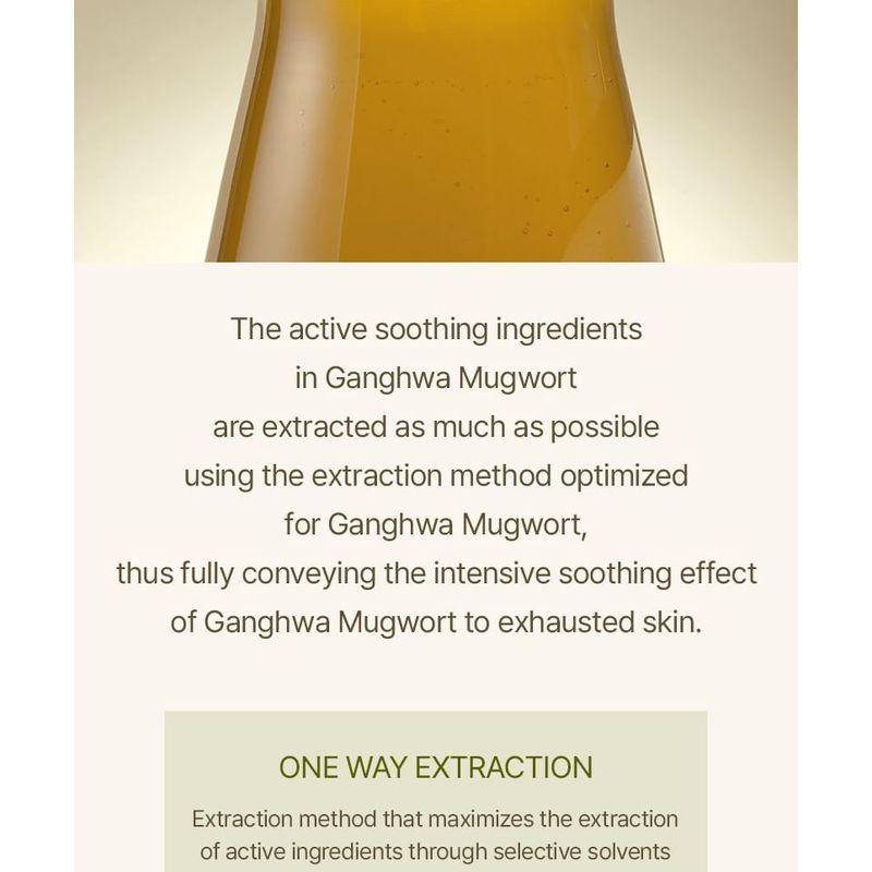 I'm from - Mugwort Sheet Mask Set