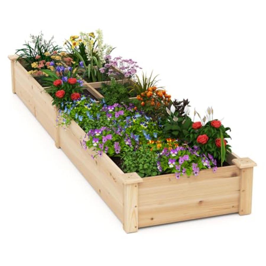 

Wooden Raised Garden Bed with 2 Planter Boxes Dividers 90x25x10 for Flowers Vegetables Fruits Herbs Gardening Planting Outdoor United States