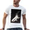 BakeKujira TShirt Unisex T Shirt Summer T Shirt Unisex Designer Cotton Tshirt  Tshirt