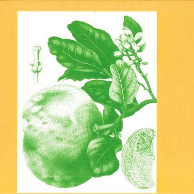 LP Schallplatte SUNNY BALM - Eukalyptus SS007 Sacred Summits 2019 UK Dance & Electronica