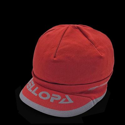 Bonnet en tricot d'hiver pour femme