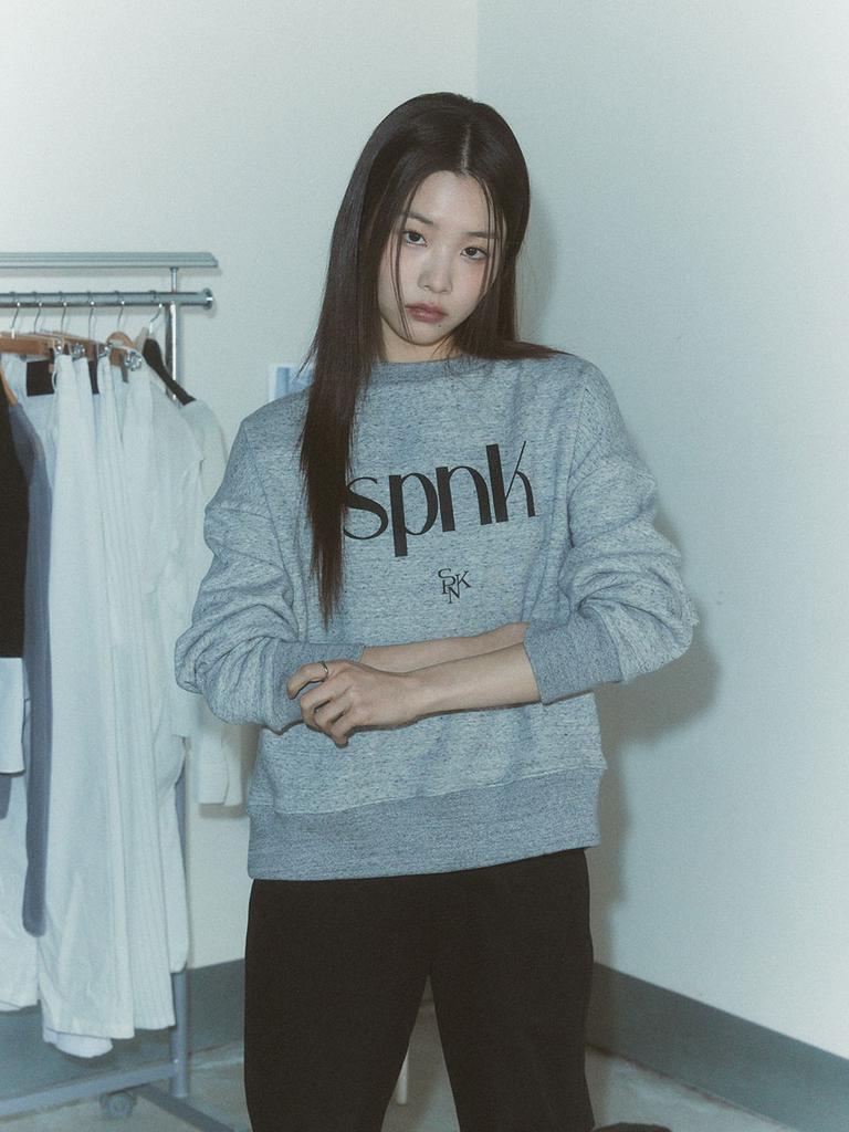 SPNK Sweatshirt - Gray