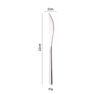 ZISIZ Stainless Steel Dinner Knife