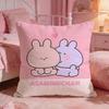 Asamimichaan AAsleeps Cute Cushion Cover Premium Comfort Reversible Pillow Cove Two In One Design For Any Room  Car Interior