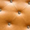 20Pcs Sofa Bubble Nail Vintage Thicken 4-Leaf Clover Pattern Decorative Fasteners 20 X 22mm
