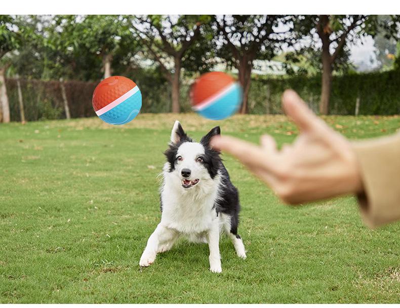 Electric Luminous Pet Toy: Bite-Resistant, Smart Teasing Ball for Dogs and Cats