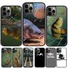 Basic Carp Fishing Rubber Phone Case Cover For iPhone 17 Air 15 16e 14 13 12 Pro Max 11 Pro Max Plus Coque Shell