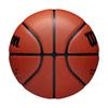 Wilson NBA AUTHENTIC Basketball Size Diameter WZ2016501XB7, Indoor/Outdoor, 7, Approx. 24.5cm