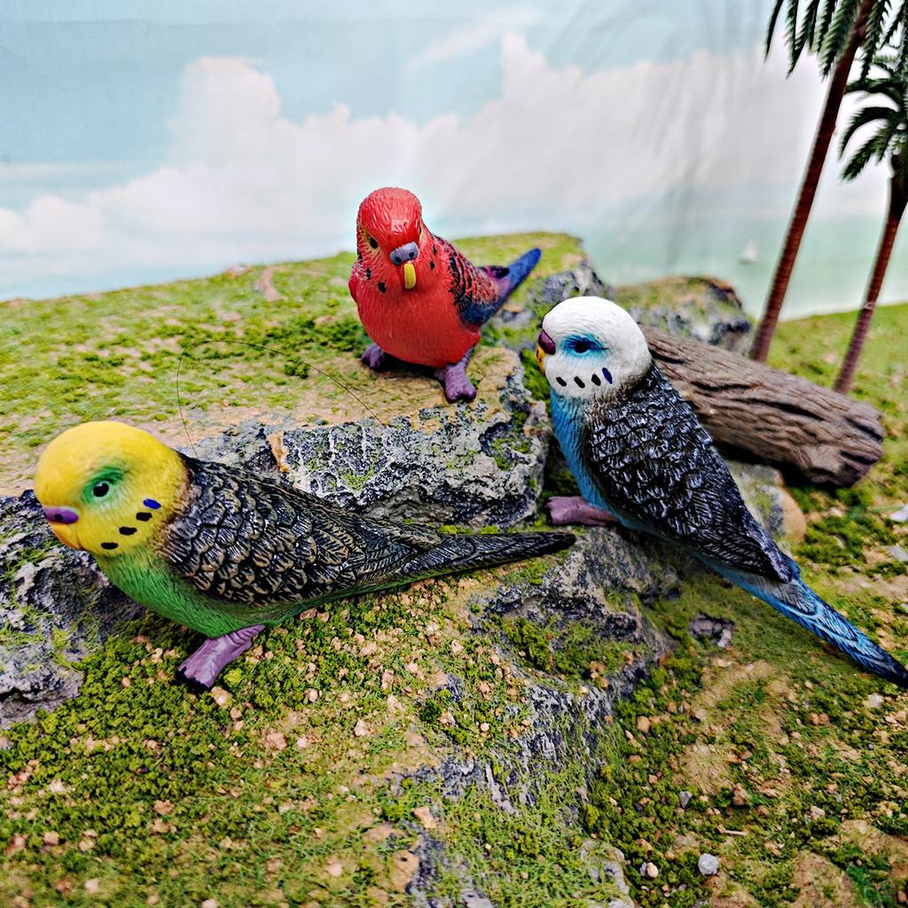 Realistic Bird Model Pvc Parrot Decorative Figurine For Kids Learning And Display