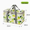 Cheng You Portable Insulated Picnic & Lunch Bag