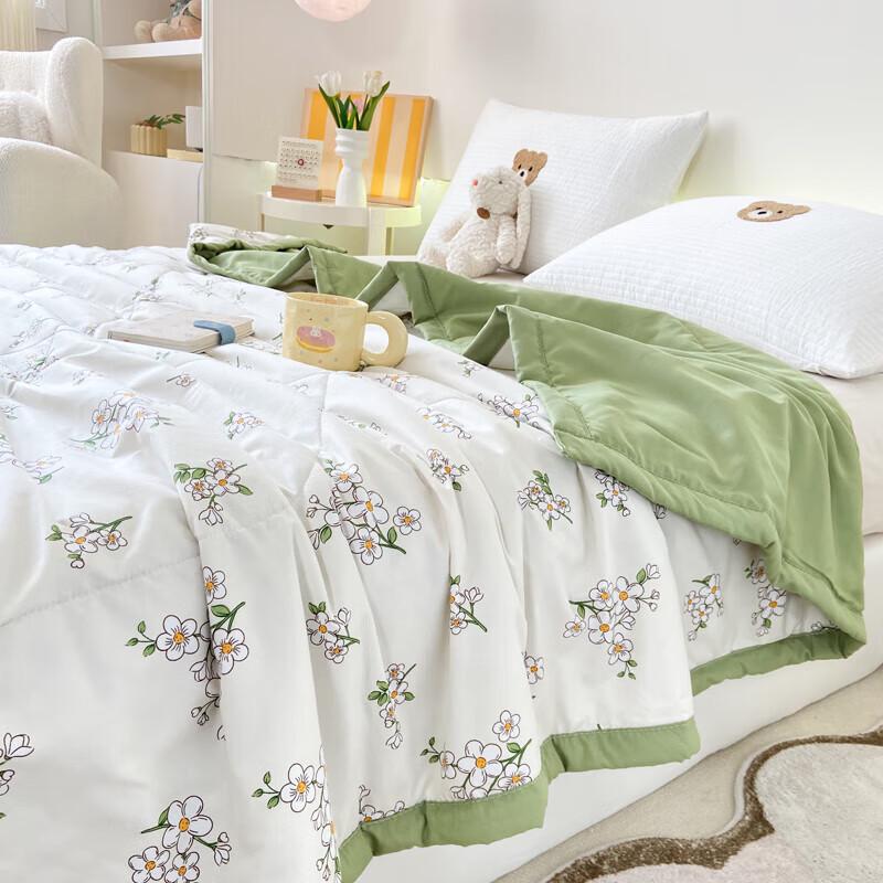 Paul David All-Season Skin-Friendly Quilt