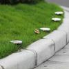 1/4pcs/8pcs Outdoor Solar Lights Buried Garden Decor 8/16LED Lamp Sunlight Power Disk Light Underground Yard Lawn Spotlight