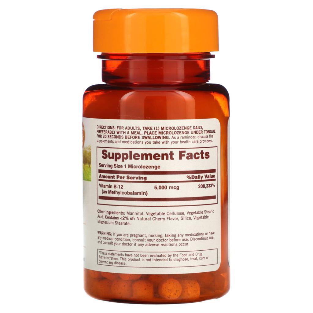 Sundown Naturals, B-12 Methylcobalamin, Kirschgeschmack, 5000 Mikrogramm, 90 Mikropastillen