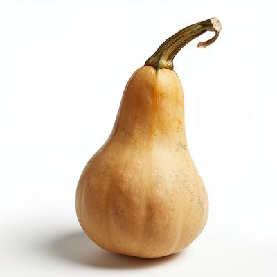 15 Butternut Squash Seeds