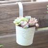 Wall Mounted Hanging Flowerpot Black White Iron Garden Flower Pot Home Decoration Detachable Hook Hanger Box Planter