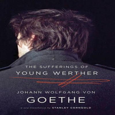 The Sufferings of Young Werther by Johann Wolfgang Von Goethe Paperback Book 9780393343571