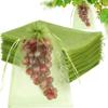 10PCS Fruit Insect-proof Yarn Bag, Protective Cover Fruit Netting Bags