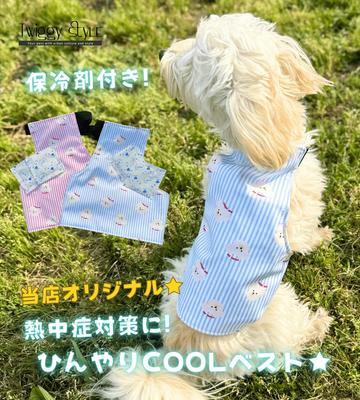 Ropa y calzado – Chalecos y camisas para perros