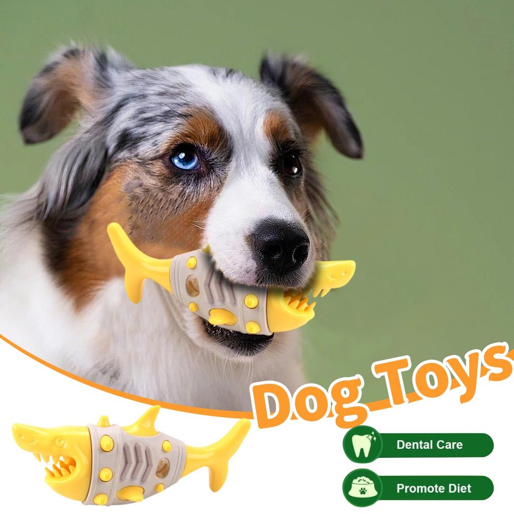 Zähne putzen Vent Molaren mit Saugfuß Hundespielzeug