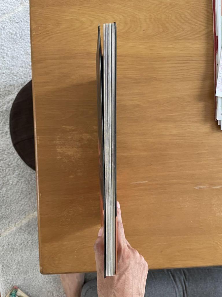 [USED] Hiroyuki Sanada Collector's Edition Photo Collection: Brave Play