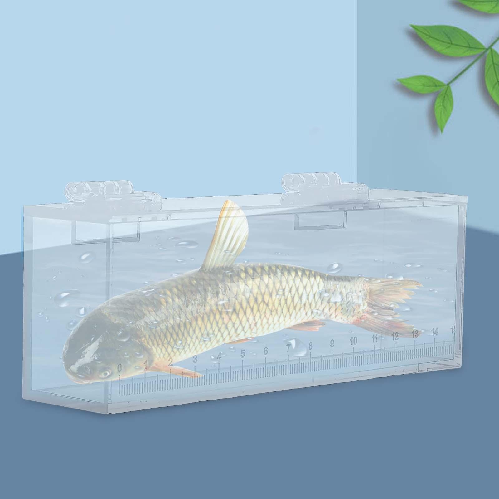 Fish Watching Box Hatchery Incubator Acrylic Clear Fish Delivery Room Observation Box Portable Fishing Photo Tank with Scale S