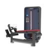 Jieruite J-6021 Low Row Machine