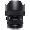 Sigma DG HSM lens for Nikon Art 14-24mm F2.8 F-mount, wide-angle zoom, full-frame DSLR, series.