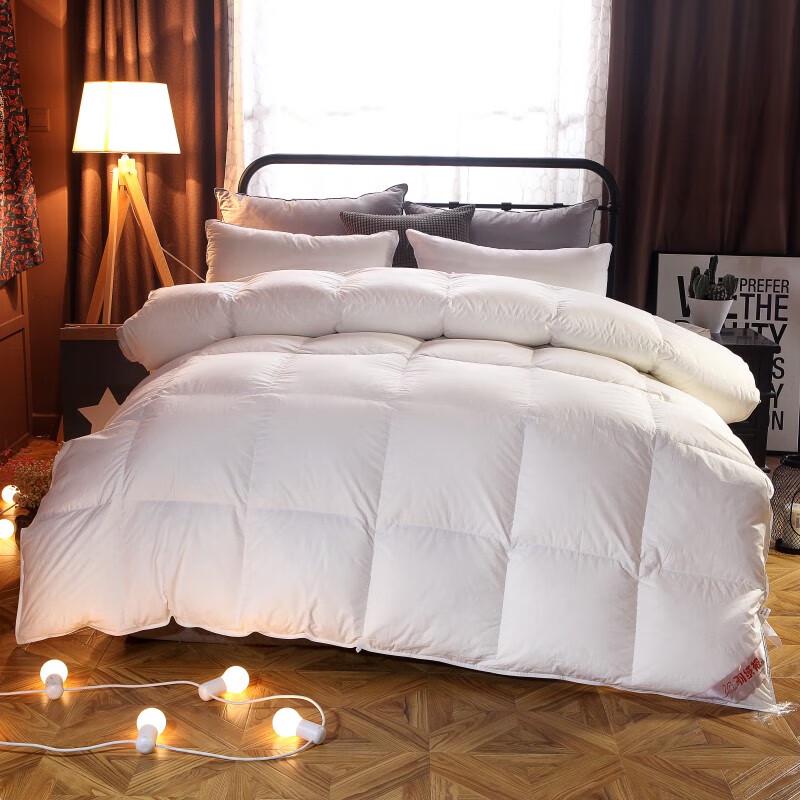 

Yalu Classic Winter Down-Alternative Quilt