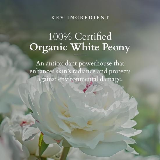 Lotus Organics+ Precious Brightening Serum + Creme | 100% Bio-Weiße Pfingstrose | Sulfat- & Parabenfrei | Für alle Hauttypen | 30g