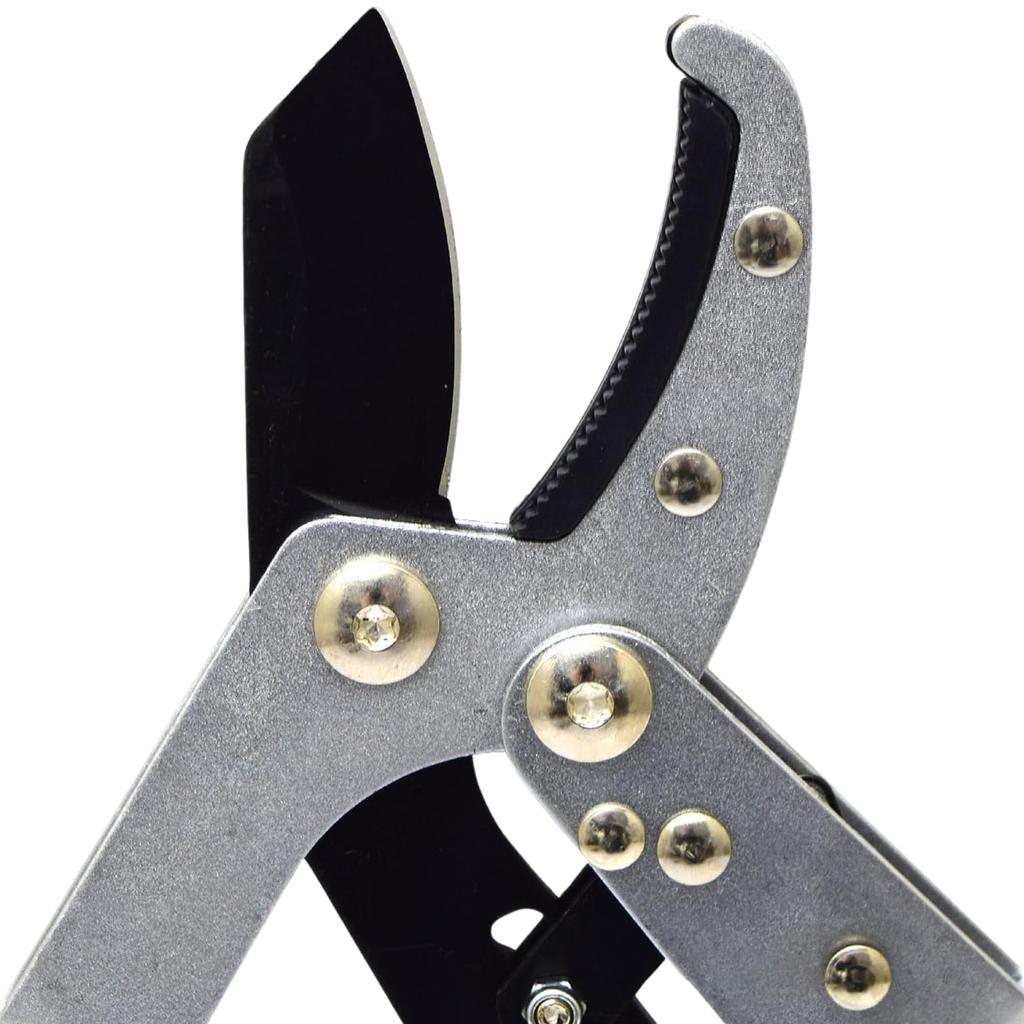 Takagi Sun Garden Branch Pruning Ratchet-type Shears, Mini, Approx. 40mm