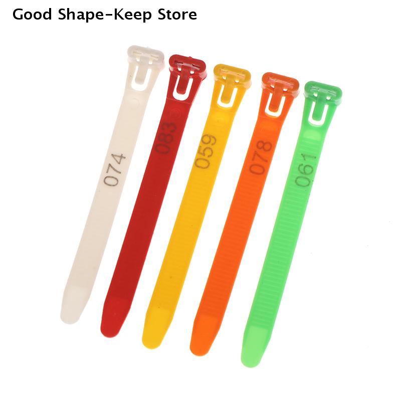 50/100Pcs 5 Color Chicken Poultry Reusable Adjustable Chicken Foot Rings Flexible Retractable Foot Straps Poultry Marking Cards