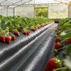 Weed Barrier Fabric Heavy Duty, 4x35.1m 99.2g Landscape Fabric, Woven Weed Blocker Fabrics, Garden Fabrics Weeds Barrier, Weeds Control Ground Cover,