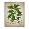 Coffee Bar Decoration Canvas Painting Wall Art Print Kitchen Decor Brewing Knowledge Poster