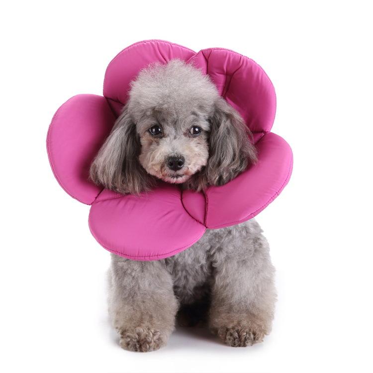 Potřeby pro domácí mazlíčky Ochranný obojek Ochranný obojek pro psy Ochranný obojek Květina Ochranný obojek Pet Beauty Medical Cover