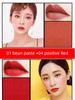 Li Jiaqi Waterproof Rotation Long Lasting and Does Not Fade Lip Liner