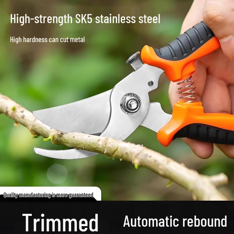 Garden Floral Pruning Shears: Artful Branch, Flower, and Fruit Tree Scissors for Gardening and Fruit Picking