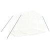 VidaXL Serre avec cadre en acier blanc 6 m² 3x2x2 m 364079