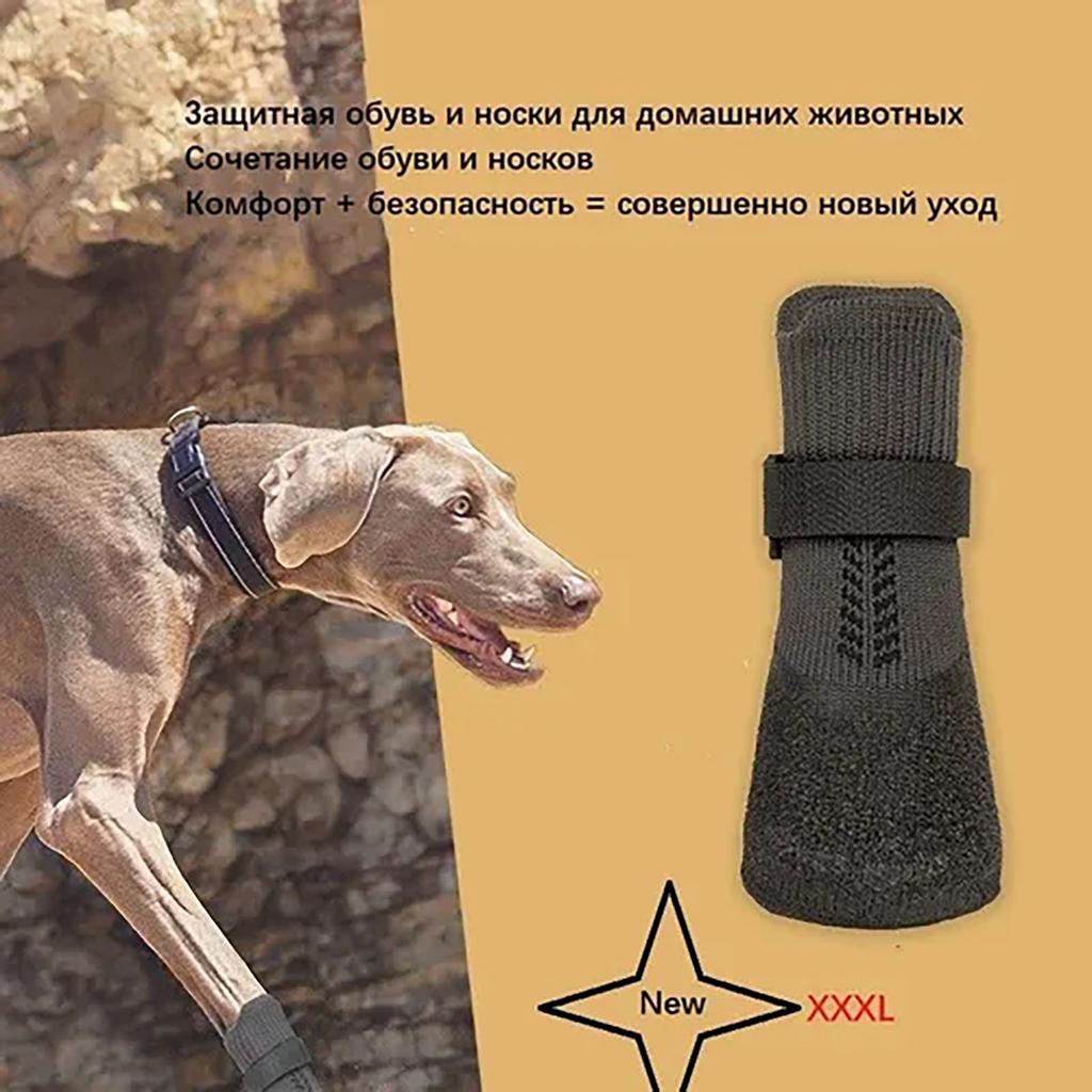 Dış Mekan Evcil Hayvan Koruyucu Ayakkabı ve Çoraplar, Teddy Altın Tüylü Küçük ve Orta Boy Köpek Dış Mekan Ayakkabıları, Kir Ayak Örtüleri