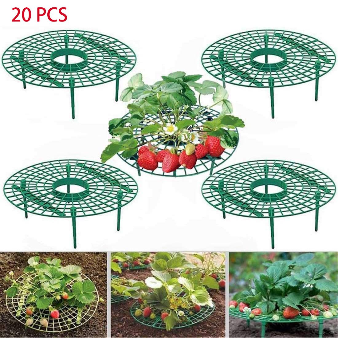 

5/10/20 шт. стойки для выращивания клубники, стойки для выращивания клубники, подставка для клубники, рамка для выращивания клубники, сохраняет ягоды в чистоте 20 PCS