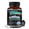 Gold-Grad Himalaya Shilajit Kapseln 10000mg, Premium Spurenelemente Nahrungsergänzungsmittel mit Huminsäure, Energie & Ausdauer Unterstützung
