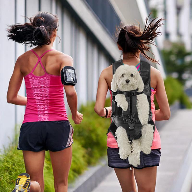 Benepaw Dog Carrier Backpack Adjustable Pet Carriers Front Facing Hands-Free Safety Puppy Travel Bag For Small Medium Dog